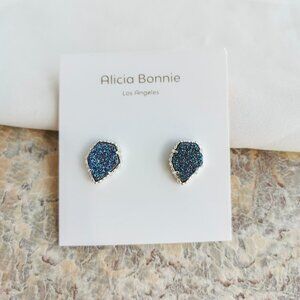 ❤️Alicia Bonnie Elsa Silver Multicolor Drusy Earrings